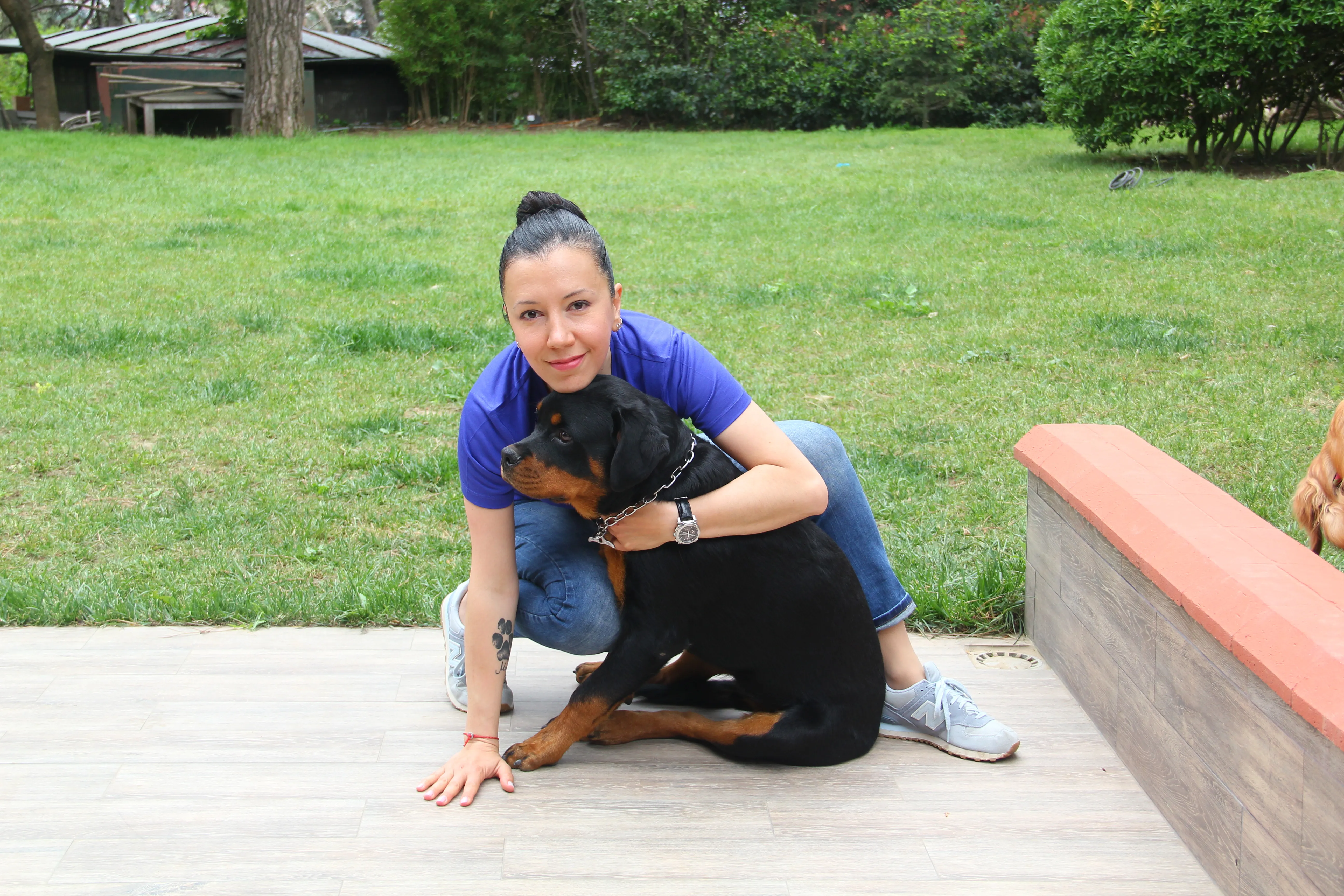 Elif Usman Köpek Eğitimi