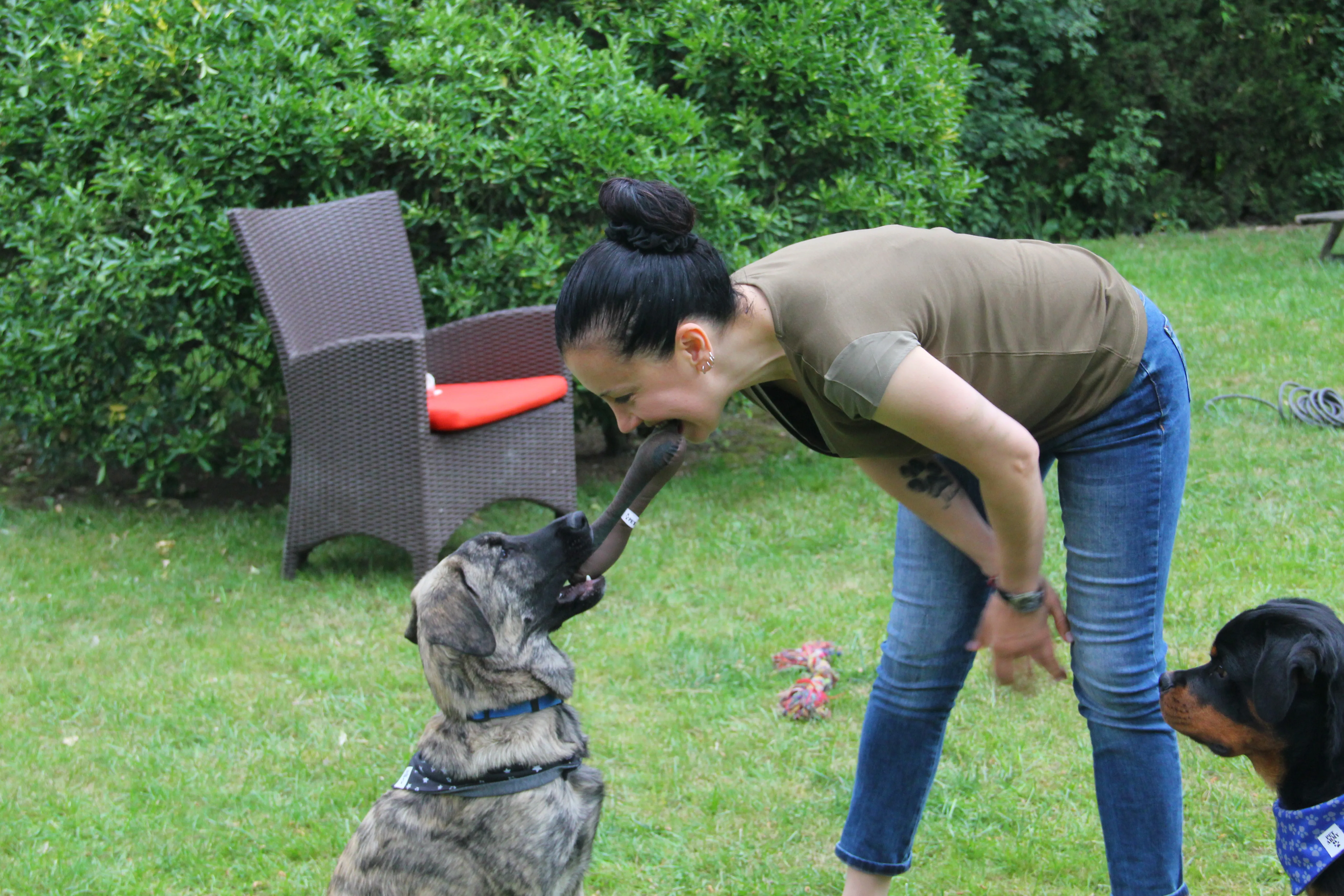 Elif Usman Köpek Eğitimi