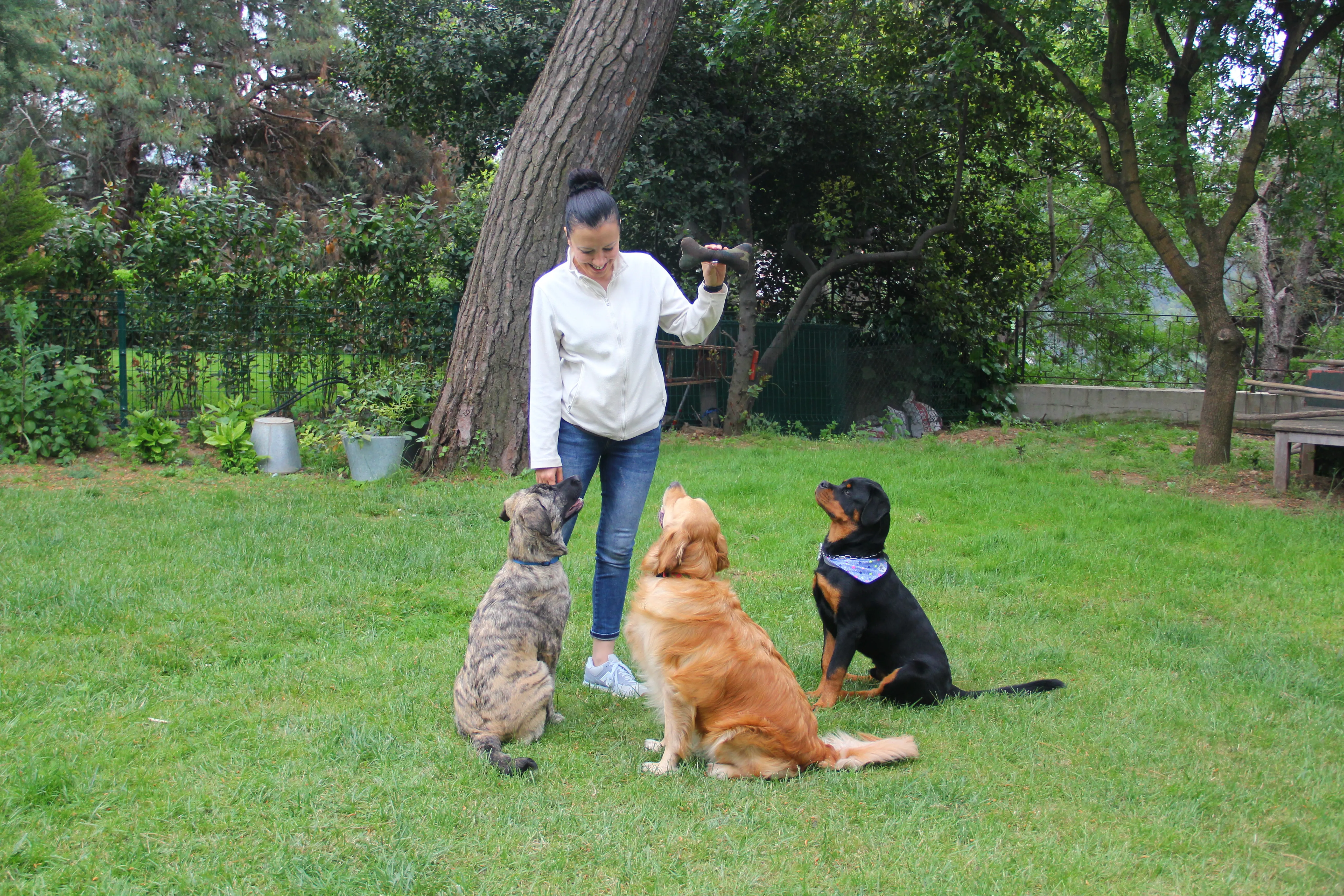 Elif Usman Köpek Eğitimi