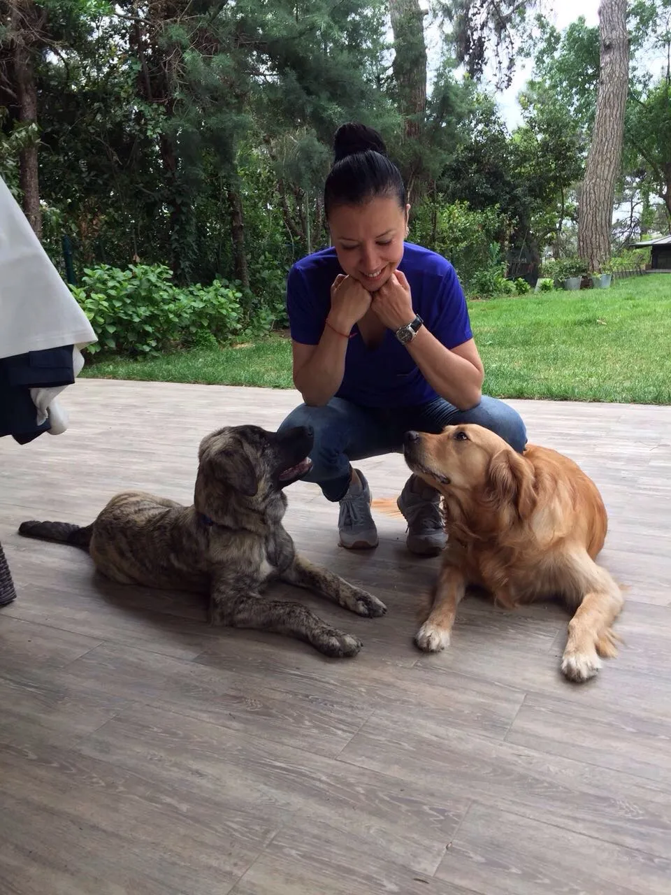 Elif Usman Köpek Eğitimi