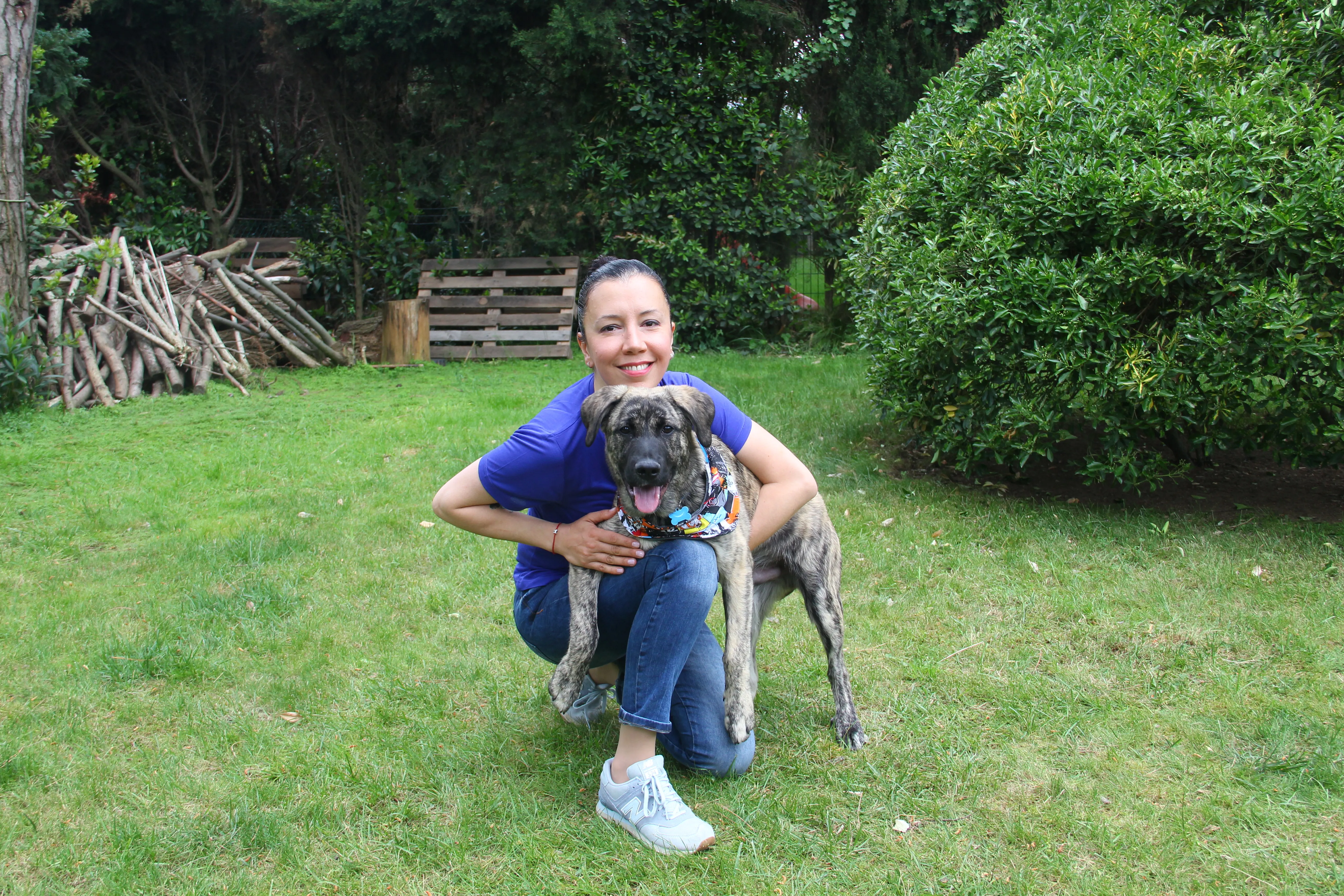 Elif Usman Köpek Eğitimi